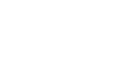 audi-iaplus